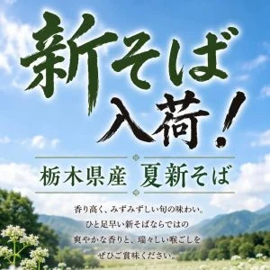 【新大久保ランチ土壌の恵みを味わう夏新そば】